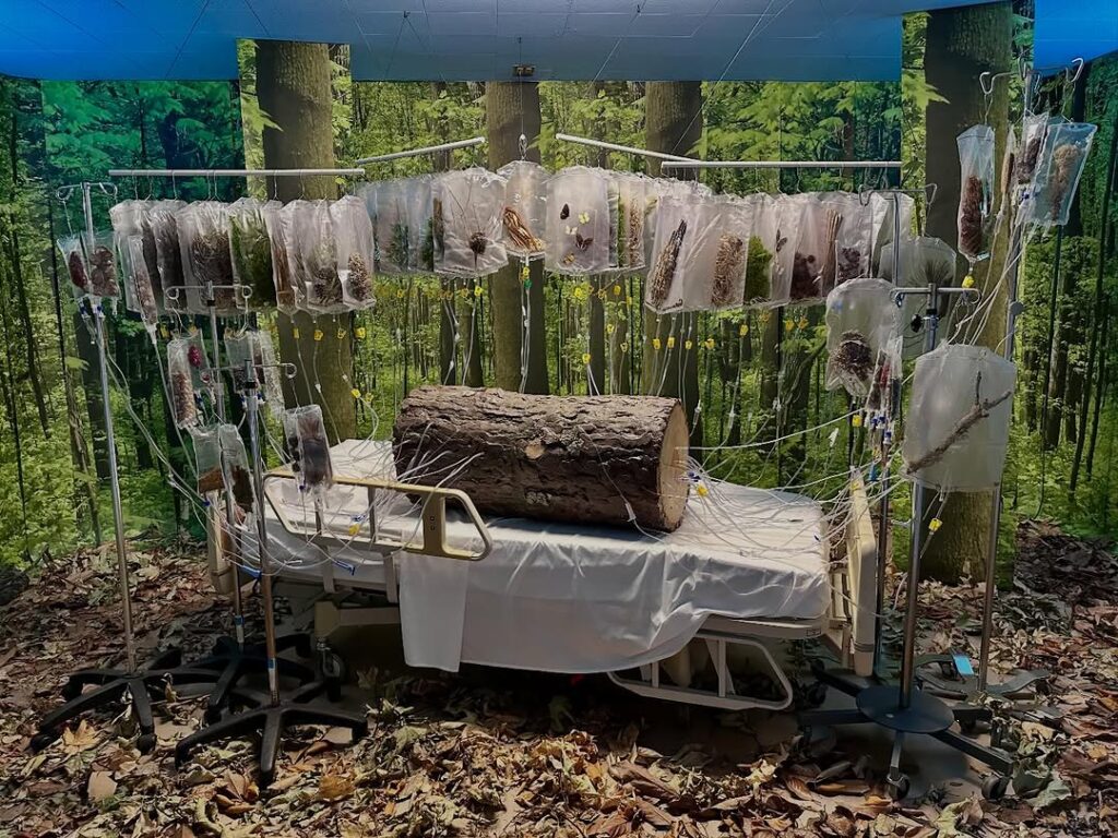 The Transfusion by Michelle Lougee for the Hospital of Emotions