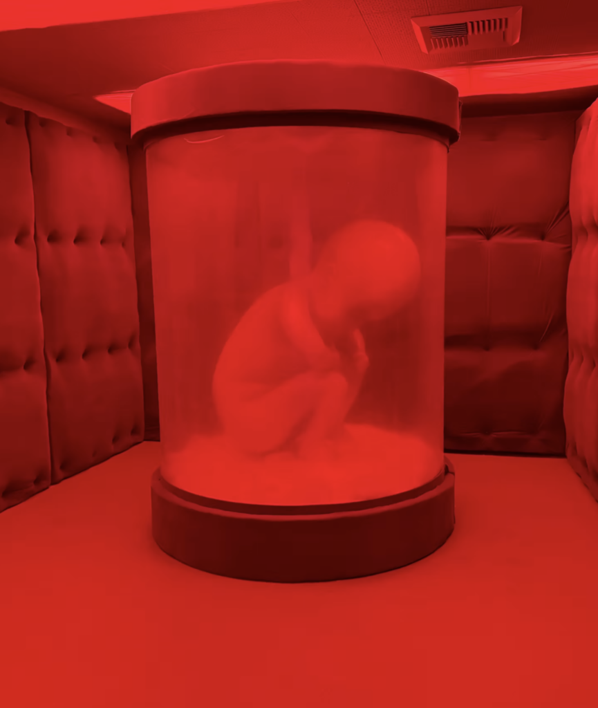 Fetal speciman by Jonathan Elkies for the Hospital of Emotions